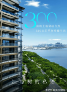 <b>从房源保举、户型解析、实地看</b>